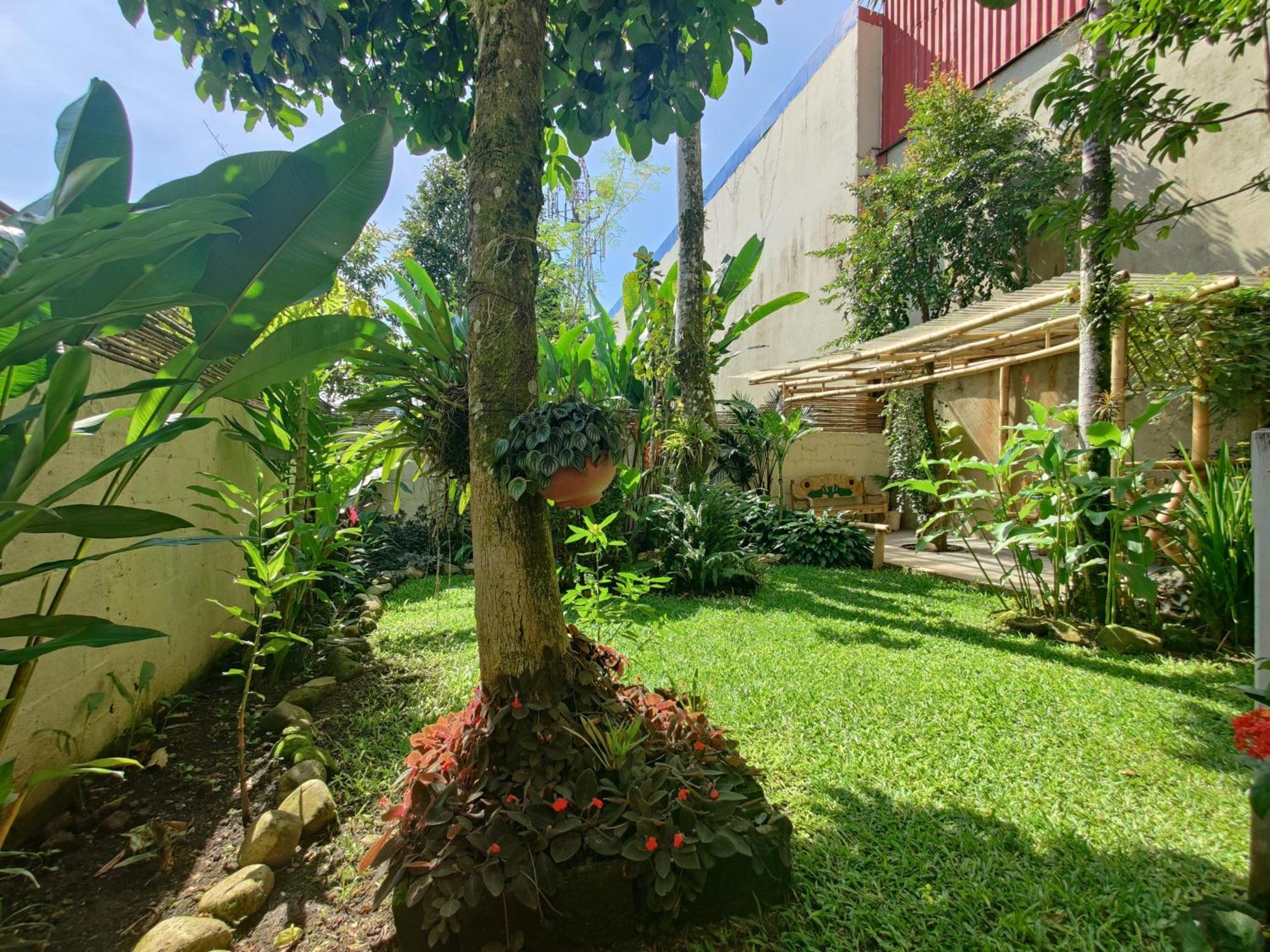 Casa De Lis Hotel & Tourist Info Centre Turrialba Exterior foto
